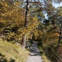 Diemersteig/Hohe Bank im Herbst