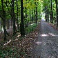 Küßnach Küssaburg Alkenhof