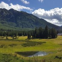 Almlandschaft mit Kammspitze