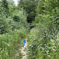 Am Weg zur Redlingerhütte