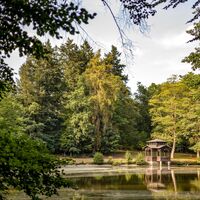 Schlosspark Saalburg-Ebersdorf