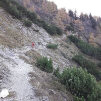 Über die "Landler Stieg´n" geht es dann zurück zum Ausgangspunkt