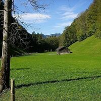 Rimsgrund