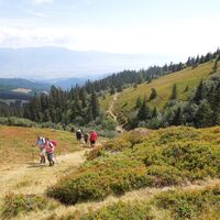 Weg zur Pöllinger Hütte