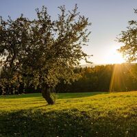 Aussichtspunkt auf die Burg Neuberg