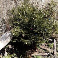 Wörthersee Rundwanderweg Klagenfurt - Pörtschach