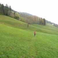 Wiese über Greifenburg