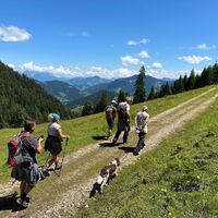 Von Holzalm rund um Gratlspitze Richtung Hösljoch