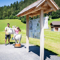 Sattel Hochstuckli AG / Sommer 2022