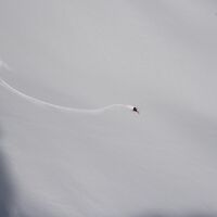 Skitour-Feeling Kleinwalsertal