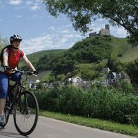 Der Mosel-Radweg bei Bernkastel-Kues