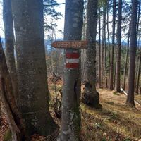 Wrgweiser für meinen Abstiegsweg