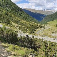 Latschentrail