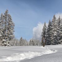Unterwegs in der Schneeschuh-Arena Prättigau