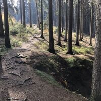 Pfad zum Kleinen Hirschenstein