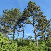Naturwanderung: Die Runde um den Fierloz_Artemare