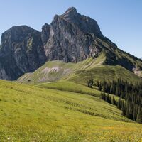 Der Aggenstein im Sommer