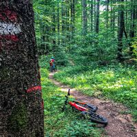 Trailverbindung zu den Gamsöfen