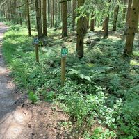 Hier finden mehrere Strecken wieder zusammen, das Ziel ist nah