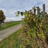 Wegkreuzung am HB8 im Apfelland-Stubenbergsee in der Oststeiermark