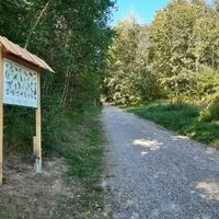 Informationstafel am Walderlebnispfad an der Karlskuppe bei Eisenach