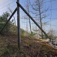 "Öhler" am Weg zum "Schober"