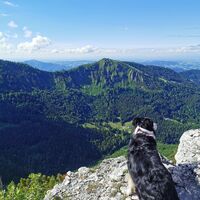 Blick vom Hühnerkogel zum Burgspitz