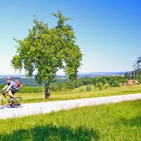 Holzbachtal und Albtour