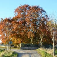 Lärchenstraße oben
