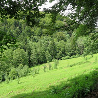 Auf dem Murgtalpfad.