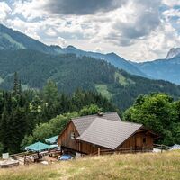 Zeiringeralm auf der Johnsbacher Almenrunde I Gesäuse I Steiermark