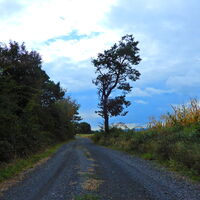 Sieggraben - Kobersdorf