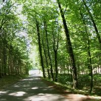 Schattige Passagen lassen das Radlerherz abkühlen.