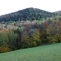 nach Orchideenwiese