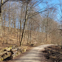 Fitnessrunde Mutlangen 1