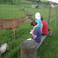 Bank mit Blick ins Wildgehege