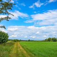 Die Weite Landschaft der Wümmewiesen