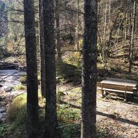 Montag, 21. Oktober 2019, 15:09 Uhr