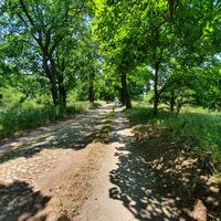 Altmarkrundkurs bei Gardelegen