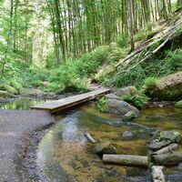 Karlstalschlucht