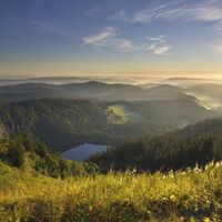 Sonnenaufgang am Feldsee