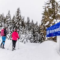 Beschilderung Winterwanderweg