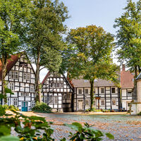Haller Herz