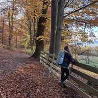 Herbstimpressionen auf dem VitalWeg 5 und 22 auf der Hube 