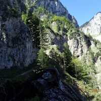 Aufstieg am AV Steig