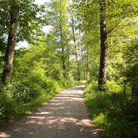 Wanderweg Kirchweg