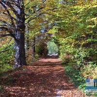 NWKW_II_Tag09_Stribrne_hute100158