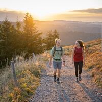 Wandern am Feldbergsteig