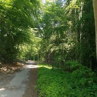 Unterwegs auf Wandertour - breites Wanderwegenetz Bad Salzuflen 