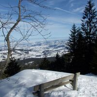 Schneeschuhtrail Schwarzenbühl-Panoramatrail